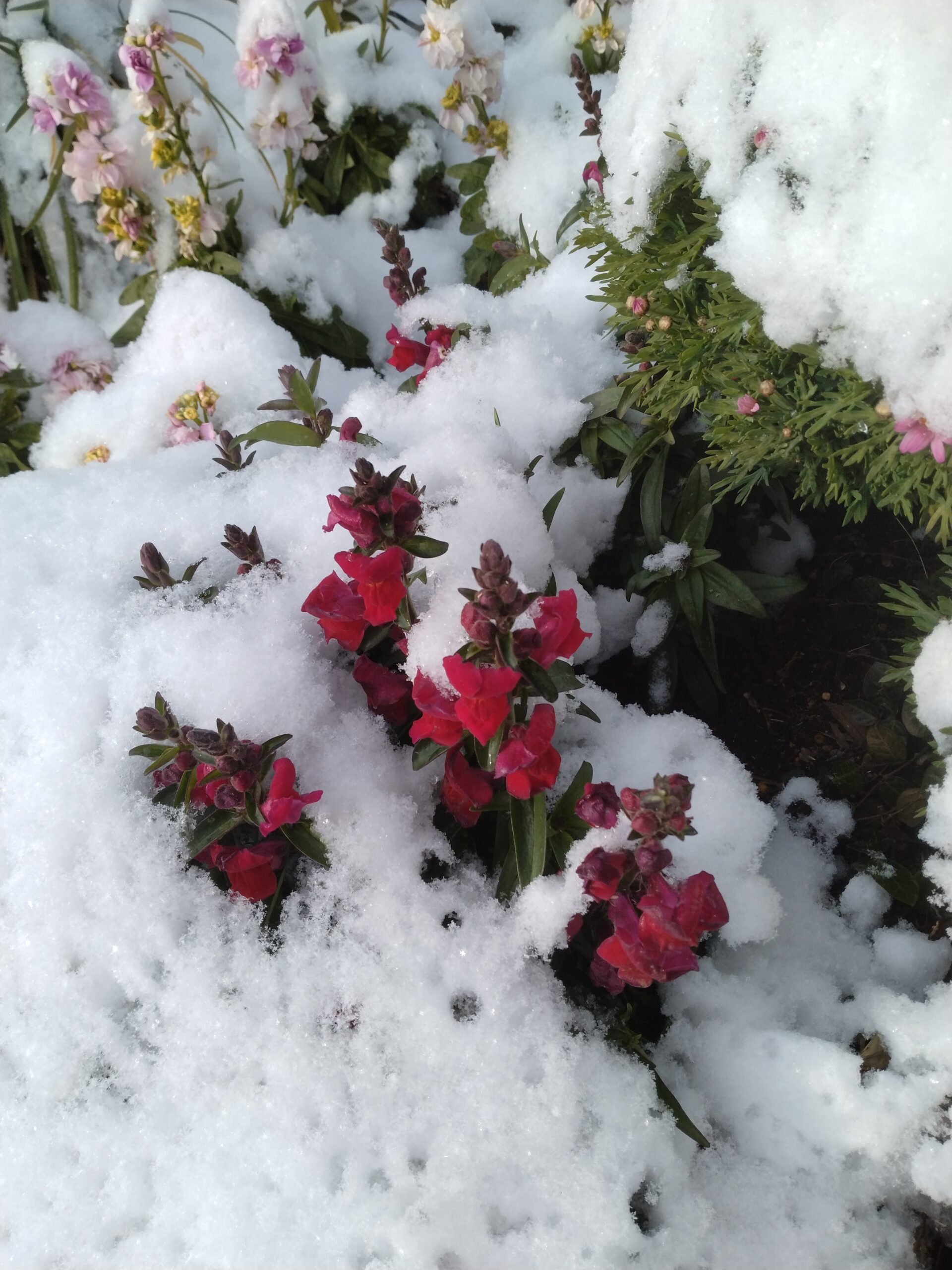 協会けんぽ健康保険料率